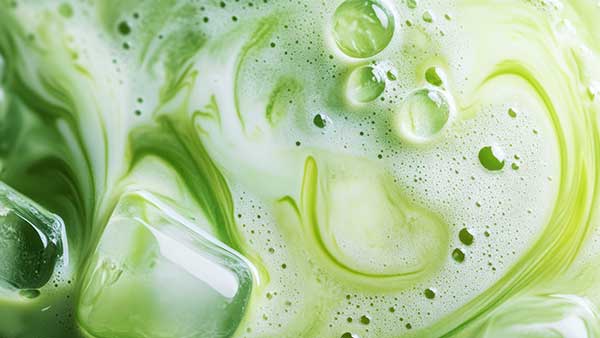best milk for matcha lattes