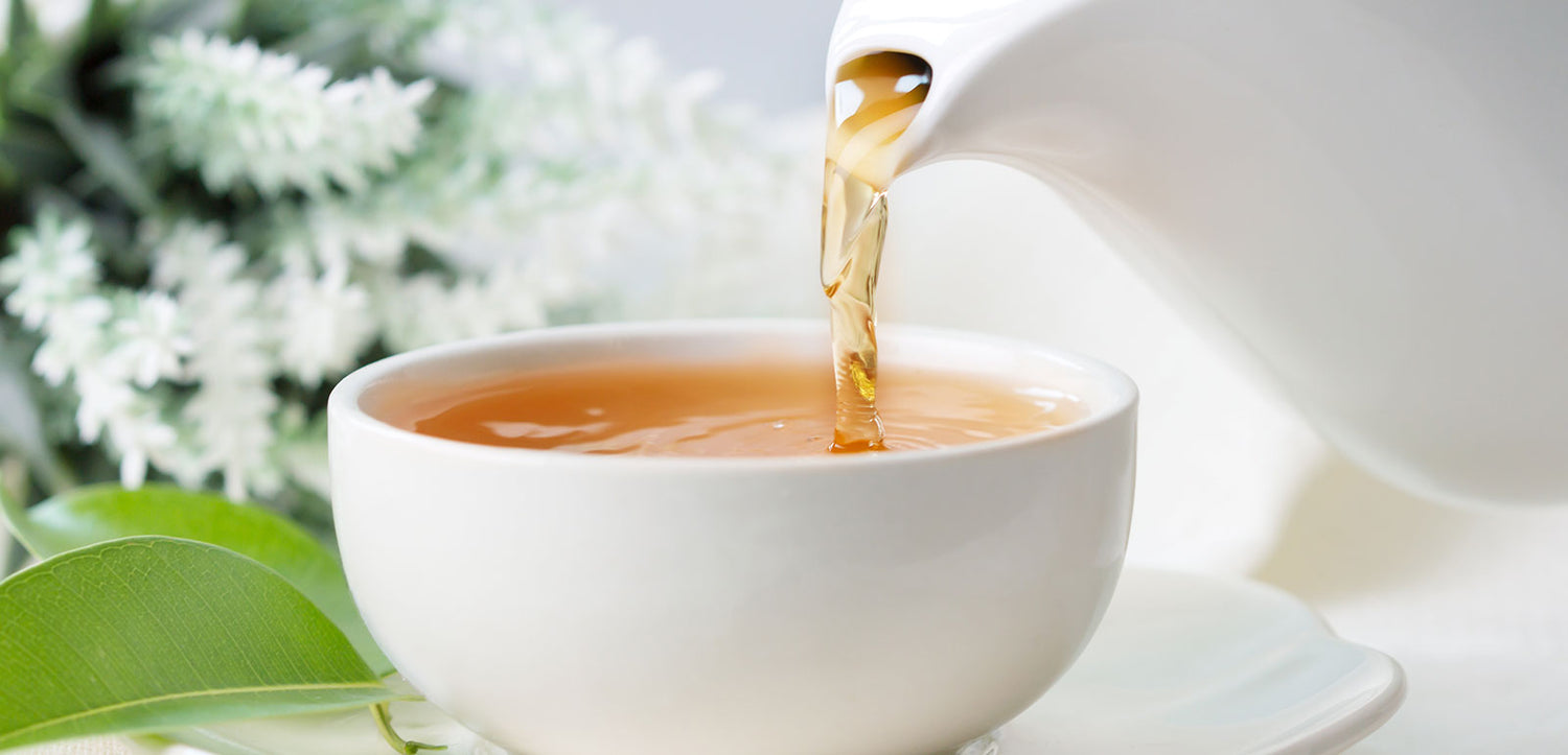 does white tea have caffeine?