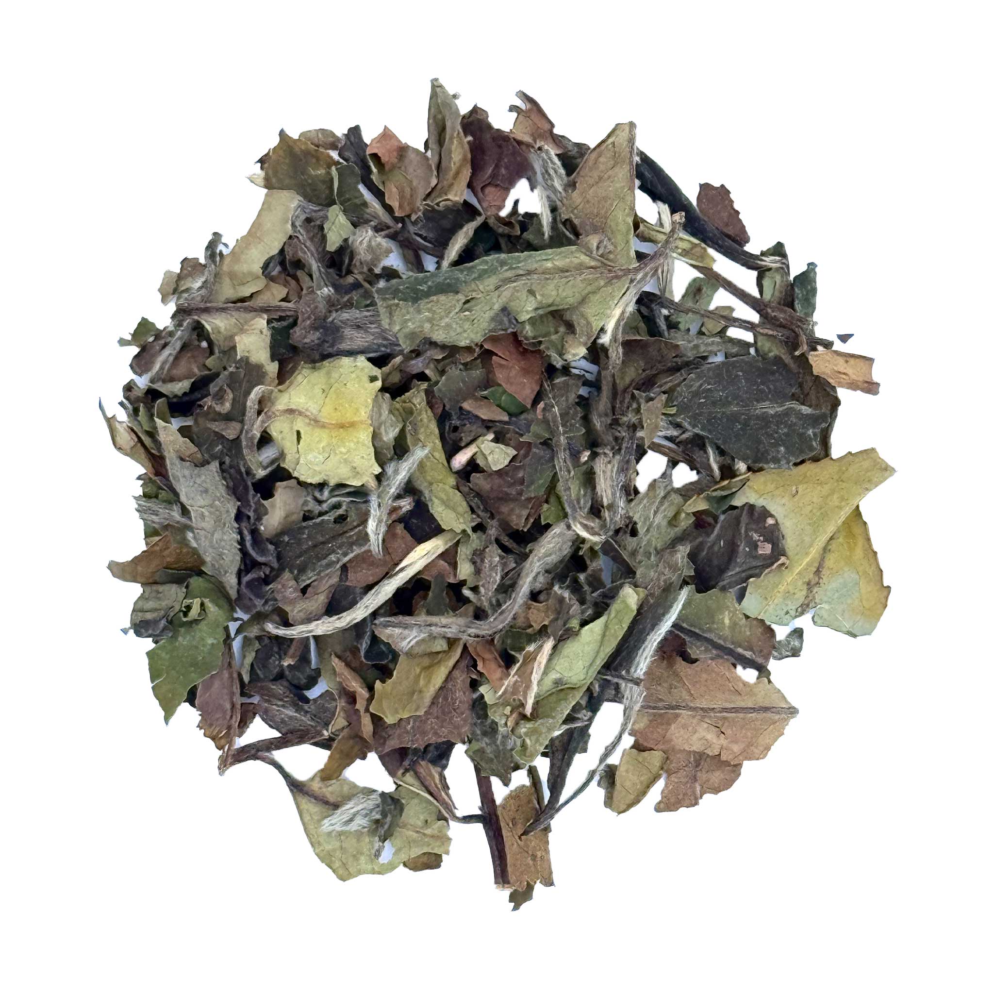 white peony tea